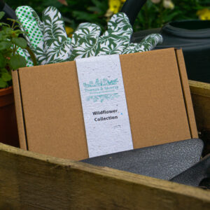 seed paper gift set