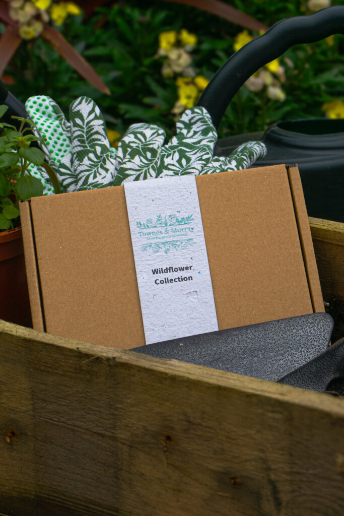 seed paper gift set