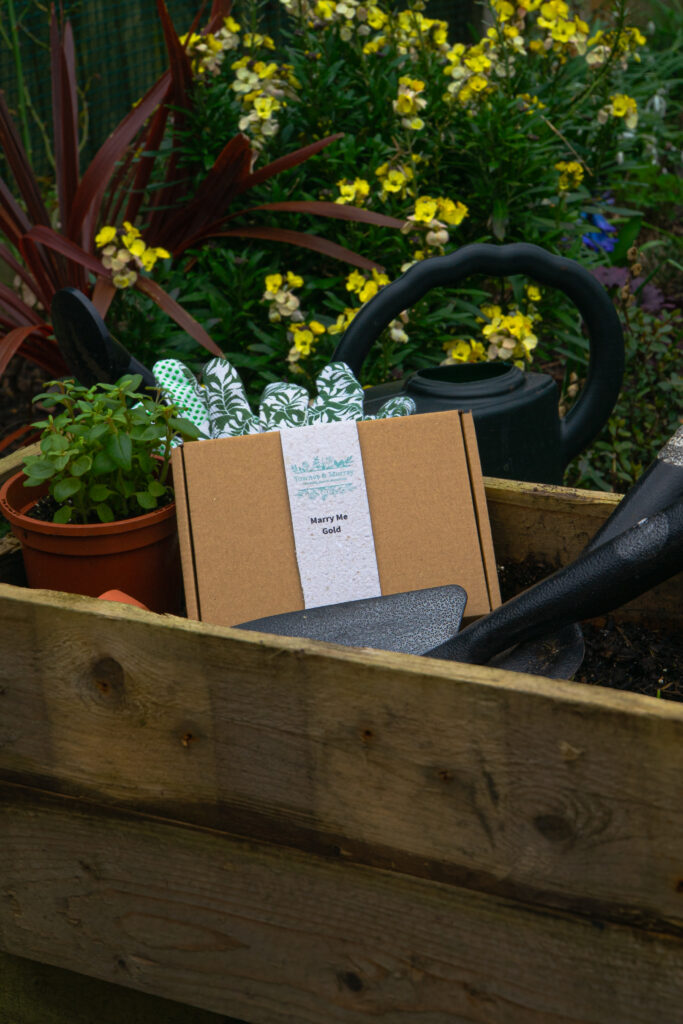 seed paper gift set